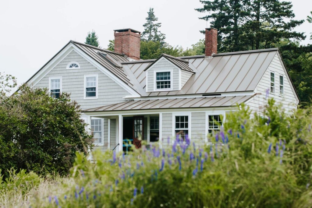 A rustic house surrounded by plants