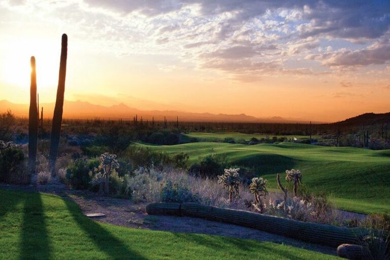 Best Neighborhoods in Dove Mountain AZ FLAT FEE