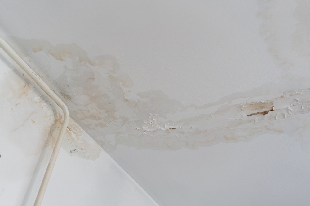 Water Damage and Drainage Issues