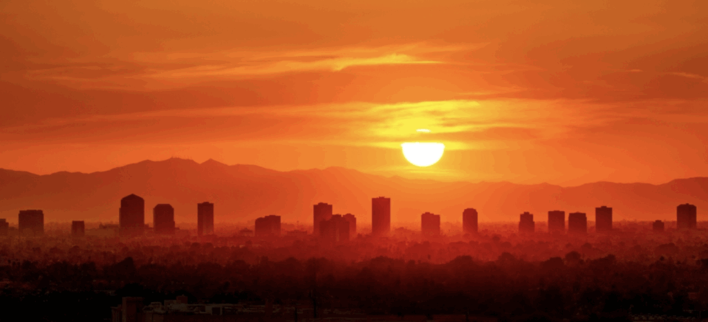 Why Choose Phoenix?